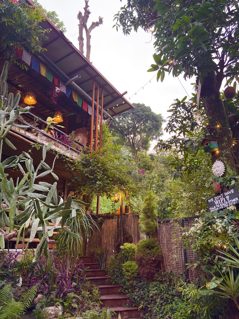 The Cactus Garden Cafe - The Cactus Garden Cafe, Bareilly - Nainital Rd, Bhujiyaghat, Smanora Range, Uttarakhand 263126, India