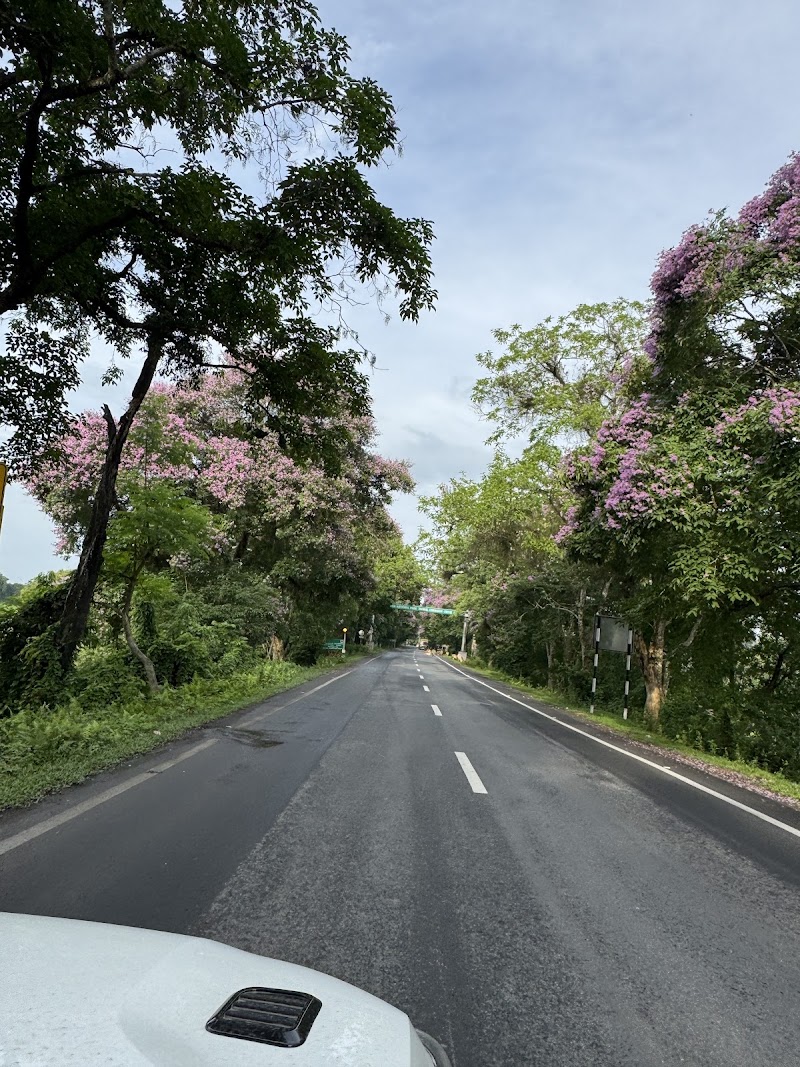 Kaziranga kohora range - Kaziranga kohora range, GXGV+4G7, Kaziranga National Park, Assam 782136, India