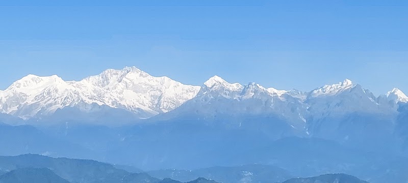 Tea View Homestay - Tea View Homestay 1/A, Lebong Cart Rd, above Happy Valley Tea garden, Chauk Bazaar, Darjeeling, West Bengal 734101, India