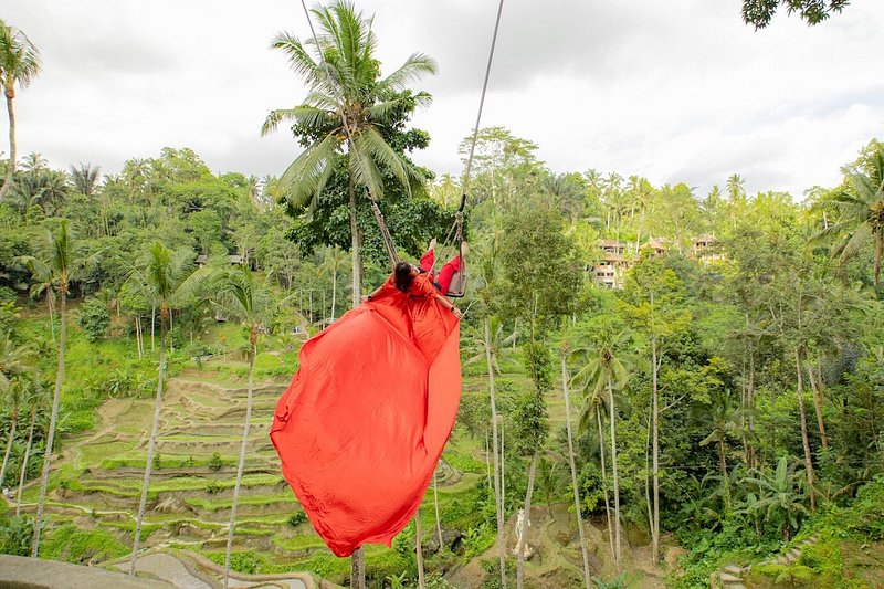 Wide Bali Tours - Wide Bali Tours, Jl. Sindu, Sayan, Kecamatan Ubud, Kabupaten Gianyar, Bali 80571, Indonesia