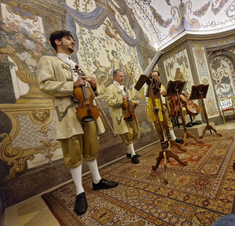 Concerts in Mozart's House - Concerts in Mozart's House, Deutschordenshaus, Singerstraße 7, 1010 Wien, Austria