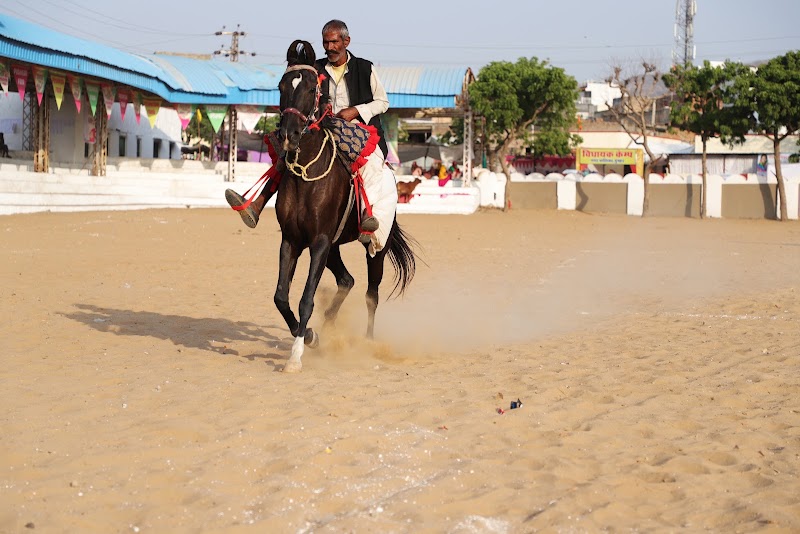 Pushkar Camel Safari - Pushkar Camel Safari, Ajmer - Nagaur Rd, opp. Civil Court, near Railway Patak , Pushkar, Pushkar, Rajasthan 305022, India