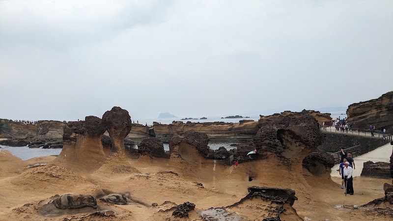 Yehliu Geopark - Yehliu Geopark, 207, Taiwan, New Taipei City, Wanli District, 港東路167-1號