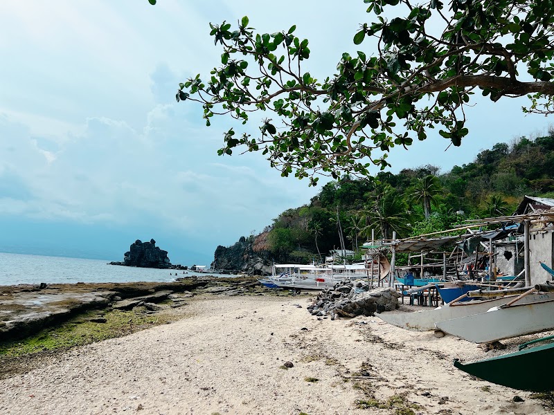 Rock west beach - Rock west beach, 37F9+8FF, Habagat Eco Trail, Apo Island, Dauin, Negros Oriental, Philippines