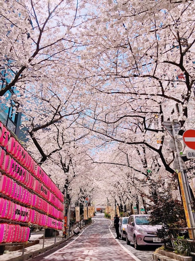 Tokyo 23 wards - Tokyo 23 wards Tokyo 23 wards, Tokyo, Japan