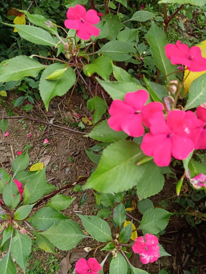 Aldur - Aldur, Karnataka, India