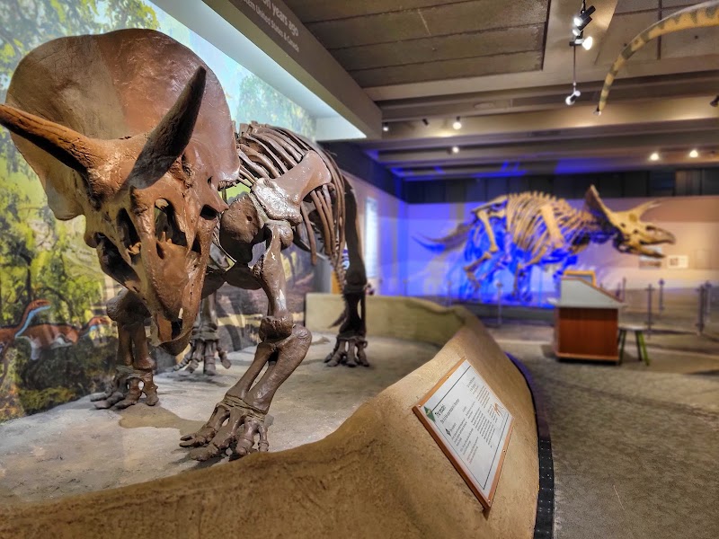 Museum of Science - Museum of Science, 1 Science Pk, Boston, MA 02114, USA