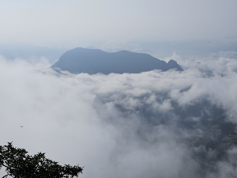 Alexander point