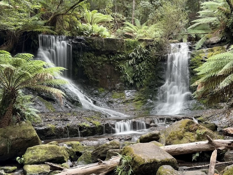 Russell Falls - Russell Falls, National Park TAS 7140, Australia