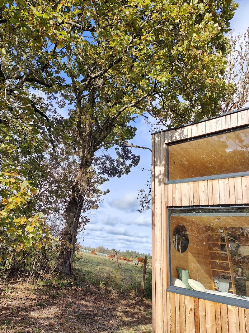 MOOSE Tiny house Chaumes Hébergement en Auvergne - MOOSE Tiny house Chaumes Hébergement en Auvergne Les Chaumes, 63230 Saint-Jacques-d'Ambur, France