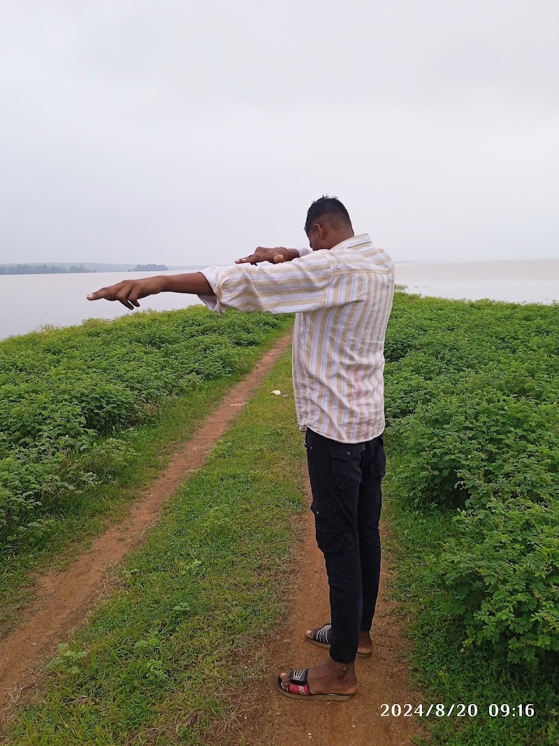 Hide Place Balod - Hide Place Balod, M5H5+F56, Borid, Mullegura, Chhattisgarh 491226, India