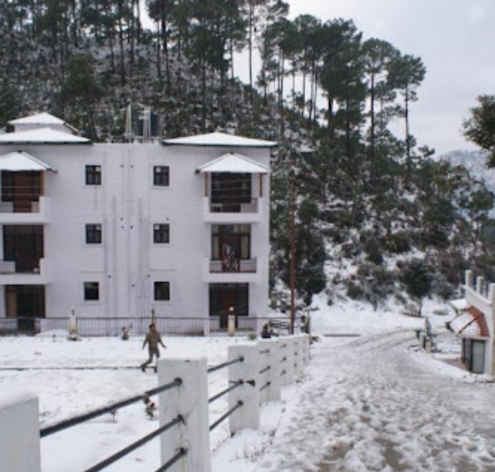 Pineoak Paradise (POP) Bhowali, Nainital - Pineoak Paradise (POP) Bhowali, Nainital, Pine Oak Paradise, Shyamkhet, Bhowali, Sukha, Uttarakhand 263153, India