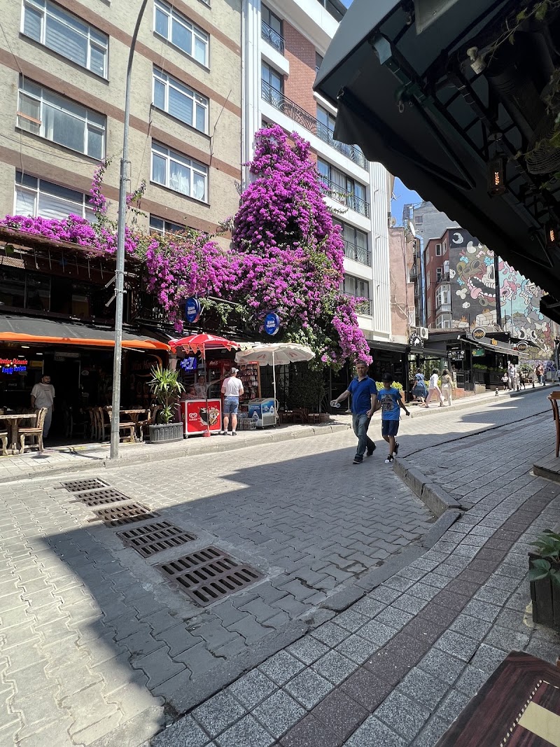 KADIKÖY - MODA - KADIKÖY - MODA, Caferağa, Moda Cd. No:90, 34710 Kadıköy/İstanbul, Türkiye
