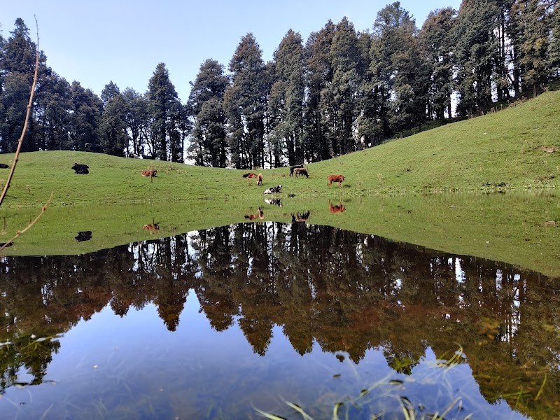 Shringi Vatika Home Stay Jibhi - Shringi Vatika Home Stay Jibhi BANJAR, SHRIGPUR, Ghiyagi, Himachal Pradesh 175123, India