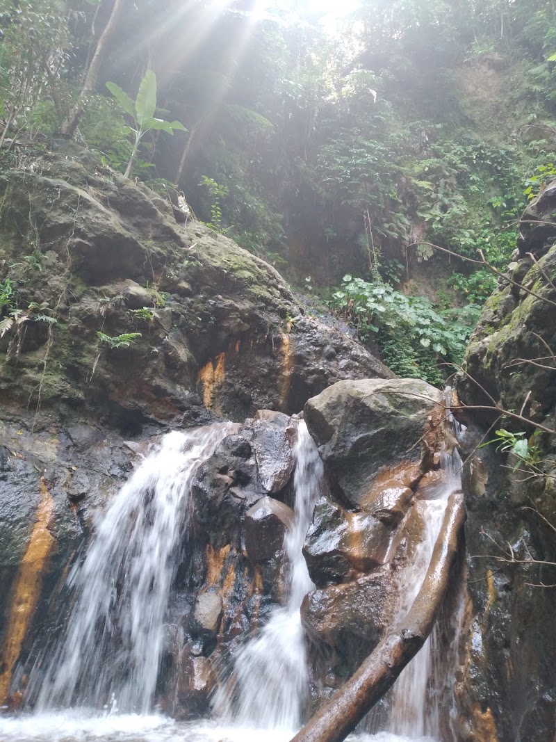 Dauin - Dauin, Negros Oriental, Philippines