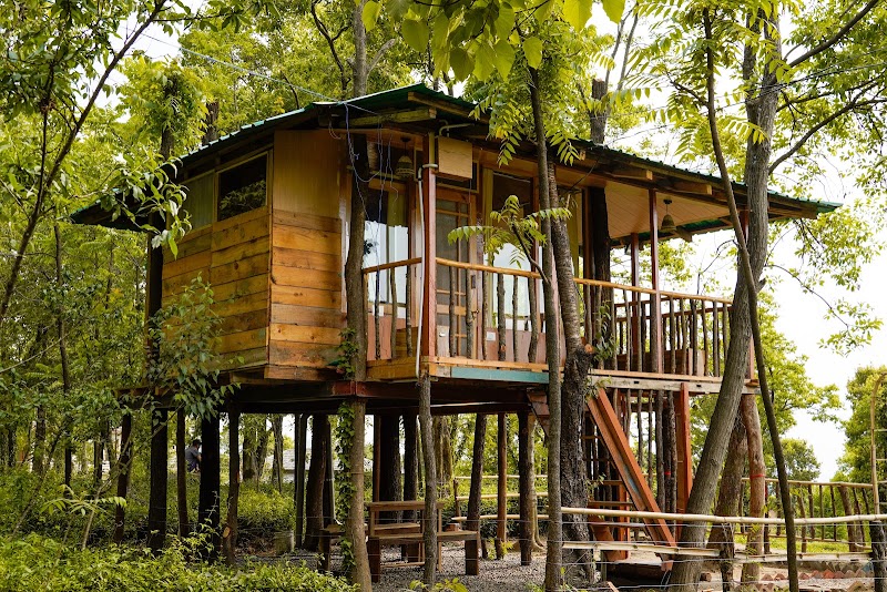 Pratham Tree House - Pratham Tree House Ward No.4, Bir Rd, Chaugan, Himachal Pradesh 176077, India