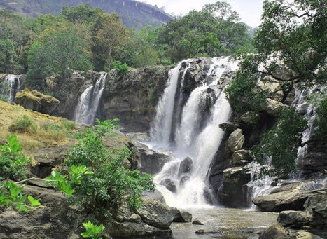 Chinnar Wildlife Sanctuary - Chinnar Wildlife Sanctuary 8644+PC6, Munnar - Udumalpet Rd, Munnar, Kerala 685612, India
