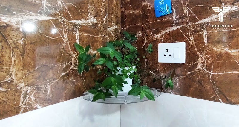 Tridentine Homestay Mussoorie - Tridentine Homestay Mussoorie Studio Lodge, Kulri Bazaar, The Mall Road, Mussoorie, Uttarakhand 248179, India