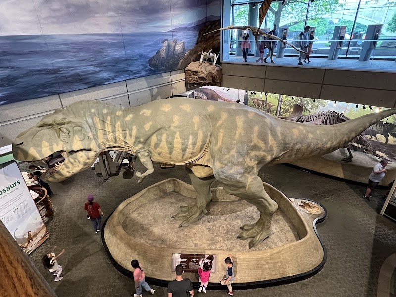 Museum of Science - Museum of Science, 1 Science Pk, Boston, MA 02114, USA