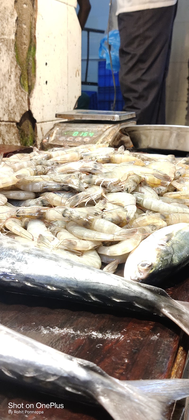 Ponda Fish Market - Ponda Fish Market, C225+XG8, Upper Bazar Rd, Upper Bazar, Antruj Nagar, Ponda, Goa 403401, India