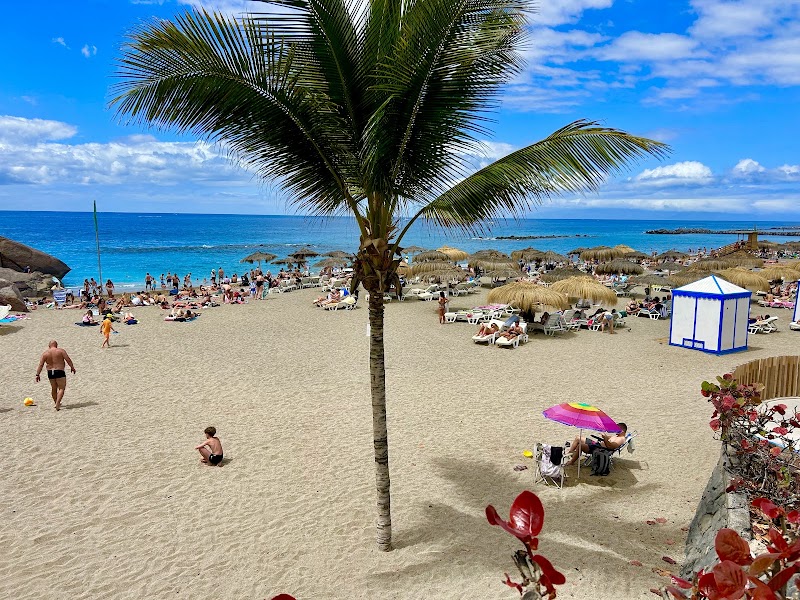 Playa del Duque - Playa del Duque, Spain