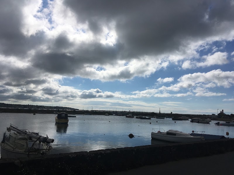River Exe - River Exe, United Kingdom