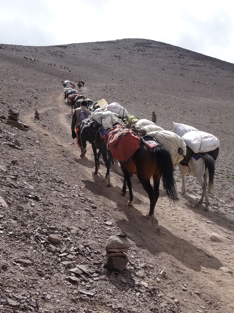 Evergreen Adventures India - Evergreen Adventures India 178, Time square, Central Spine Rd, Sector 2, Central Spine, Vidyadhar Nagar, Jaipur, Jaipur Nagar Nigam Area, Rajasthan 302039, India
