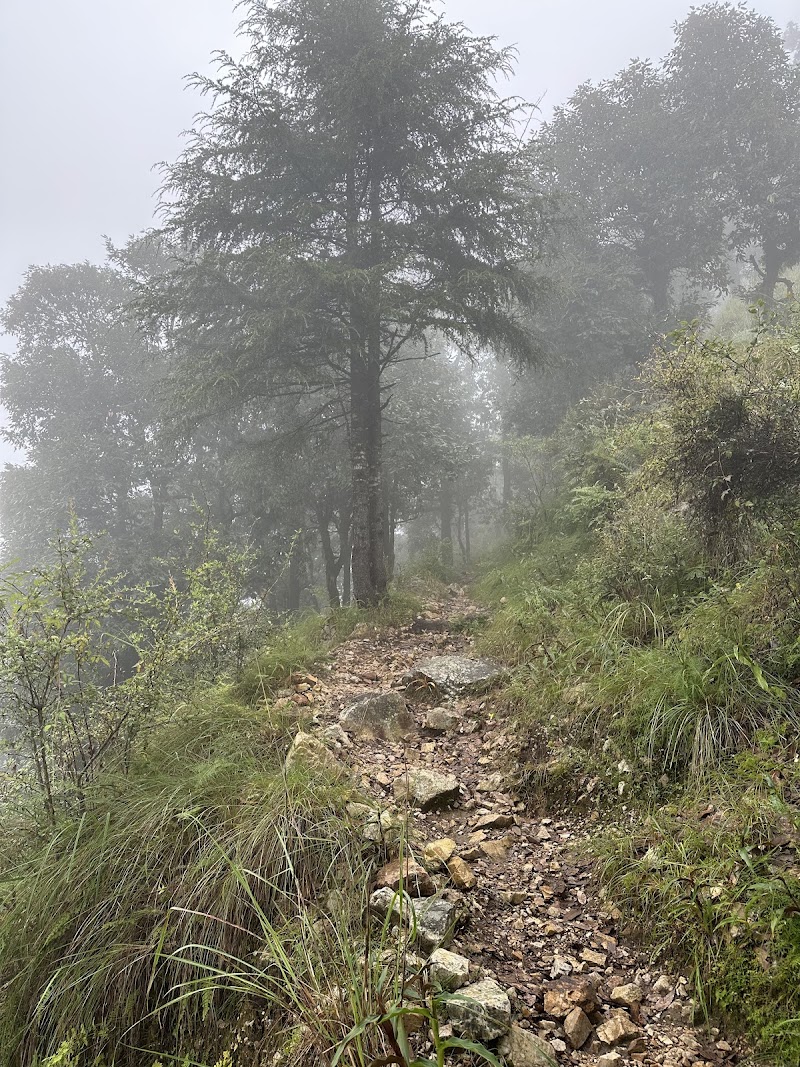 Jabarkhet Nature Reserve, Mussorie - Jabarkhet Nature Reserve, Mussorie Nature Reserve, Jabarkhet, Landour, Mussoorie, Uttarakhand 248179, India