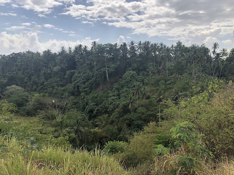 Ridgewalk start from north - Ridgewalk start from north G744+39P, Jl. Bangkiang Sidem, Keliki, Kec. Tegallalang, Kabupaten Gianyar, Bali 80561, Indonesia