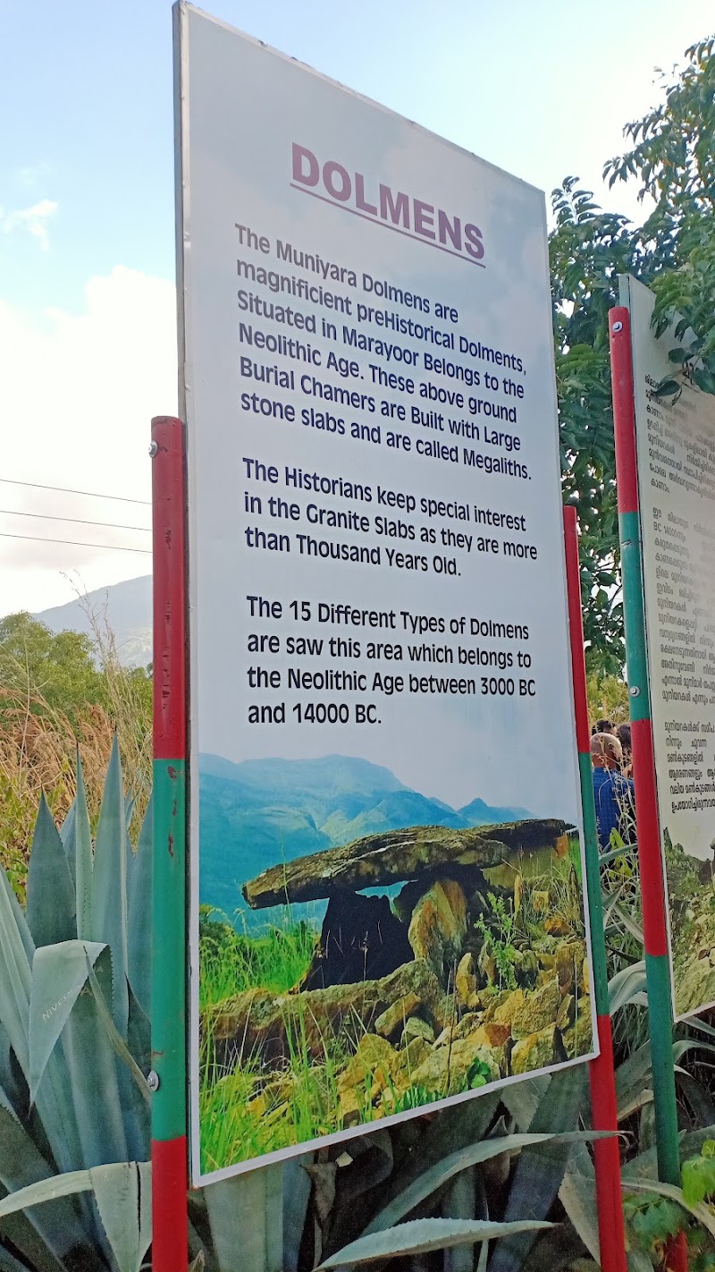 Muniyara - Anakottapara Park - Muniyara - Anakottapara Park 65XG+42W, Kanthalloor - Marayoor Rd, Kerala 685620, India