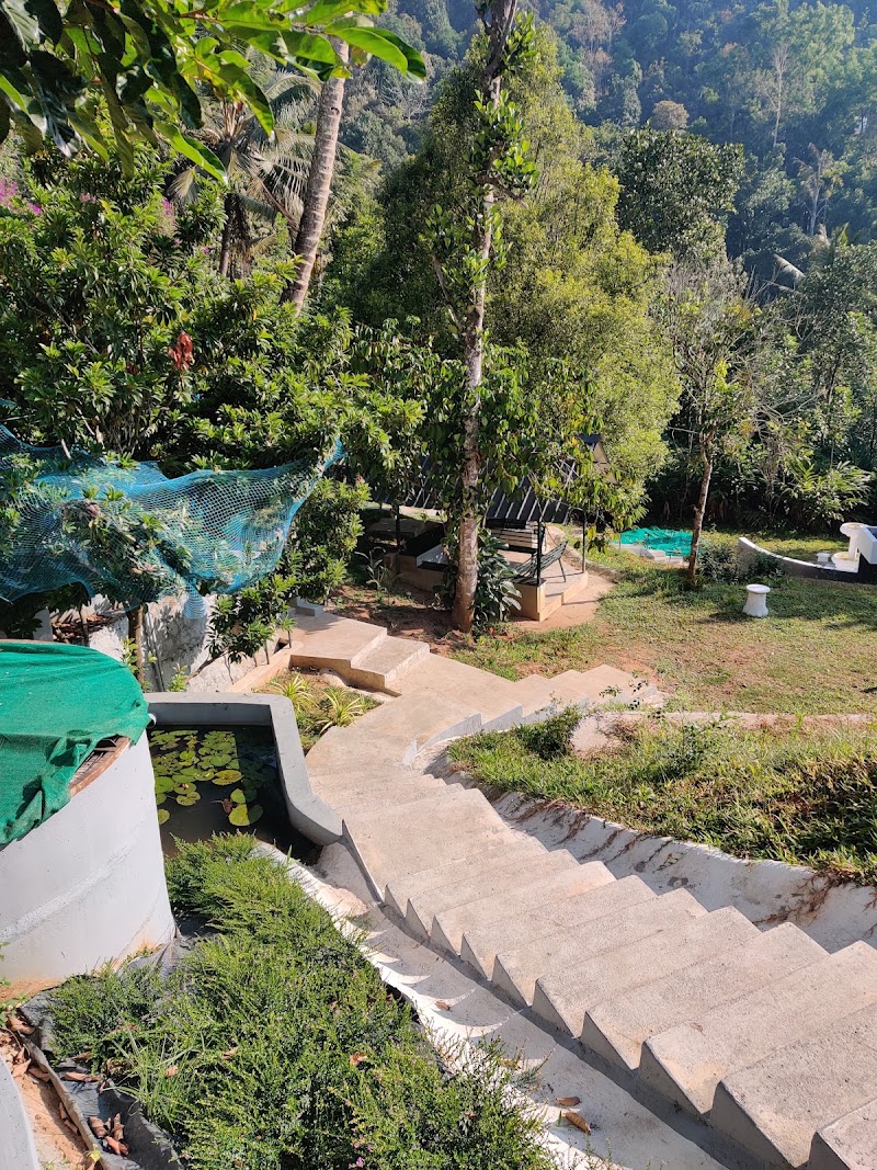 Mushroom Valley Homestay - Mushroom Valley Homestay Chithirapuram, Aadit, Kerala 685565, India