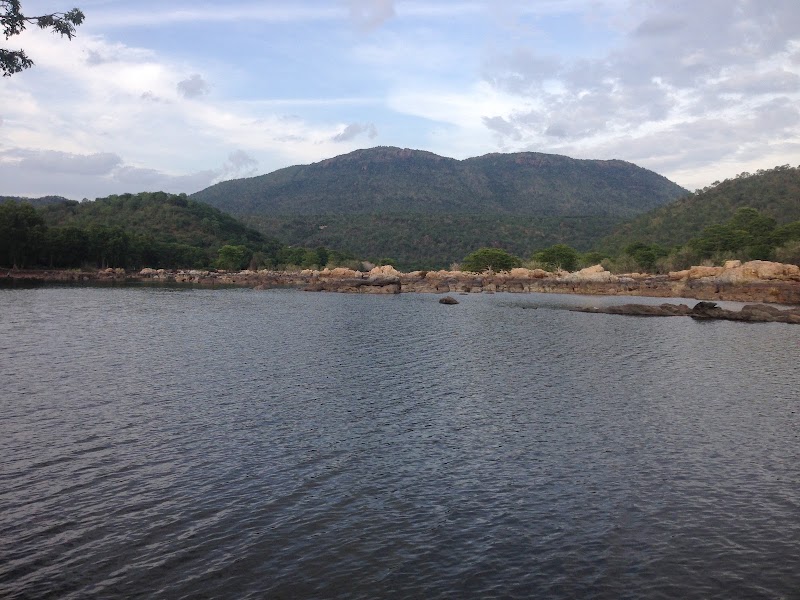 Cauvery Wildlife Sanctuary,Mandya-Ramanagara zone. - Cauvery Wildlife Sanctuary,Mandya-Ramanagara zone., 8862+JQX, Basavana Betta Forest, Karnataka 571421, India