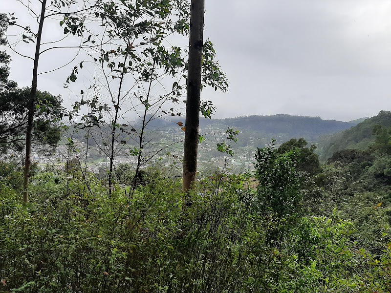 Lover's Leap Waterfall - Lover's Leap Waterfall Nuwara Eliya 22200, Sri Lanka