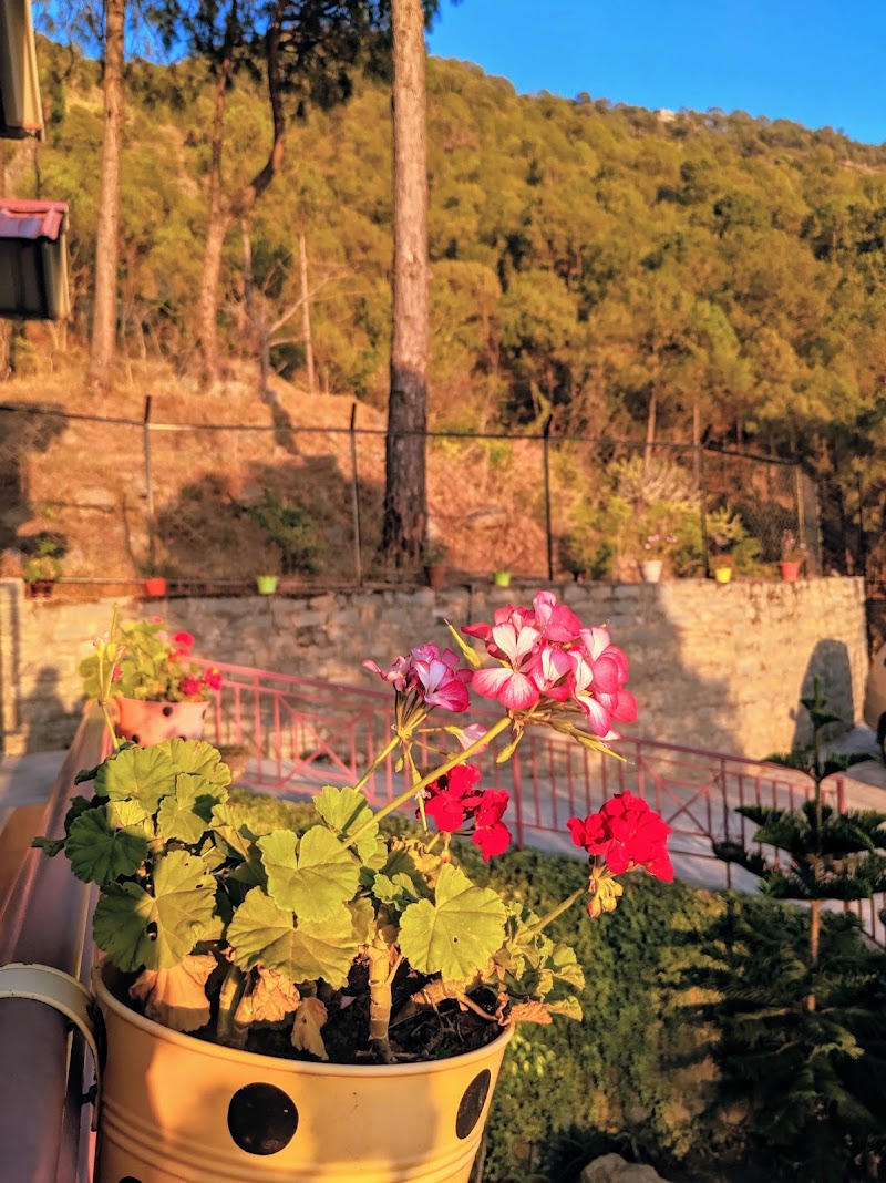 Santila Countryside Homestay - Kasauli - Santila Countryside Homestay - Kasauli, Santila Himalaya, PO, Garkhal - Madhiyana Rd, Village Ganol, Kasauli, Himachal Pradesh 173233, India