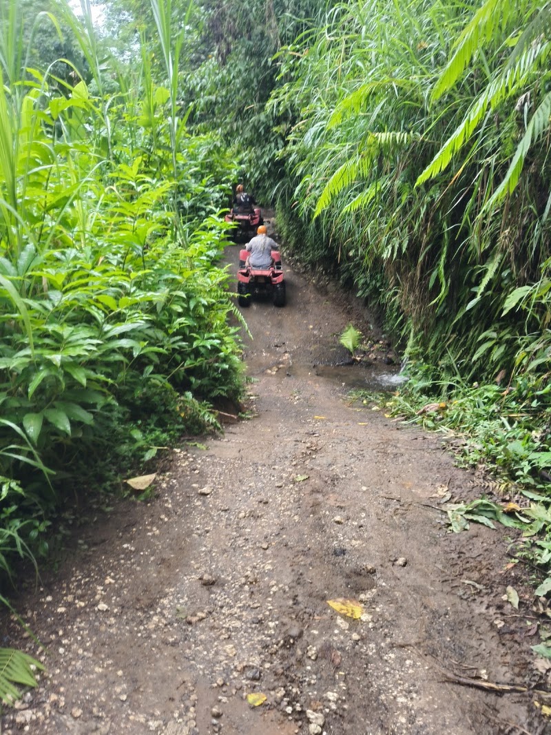 Alamelu Bali ATV (Quad Bike) - Alamelu Bali ATV (Quad Bike), Jl. Raya Payangan, Melinggih Kelod, Kec. Payangan, Kabupaten Gianyar, Bali 80572, Indonesia