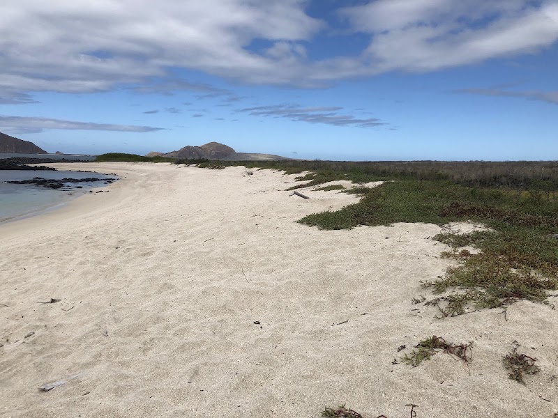 Playa La Galapaguera - Playa La Galapaguera, Isla de San Cristóbal, Ecuador