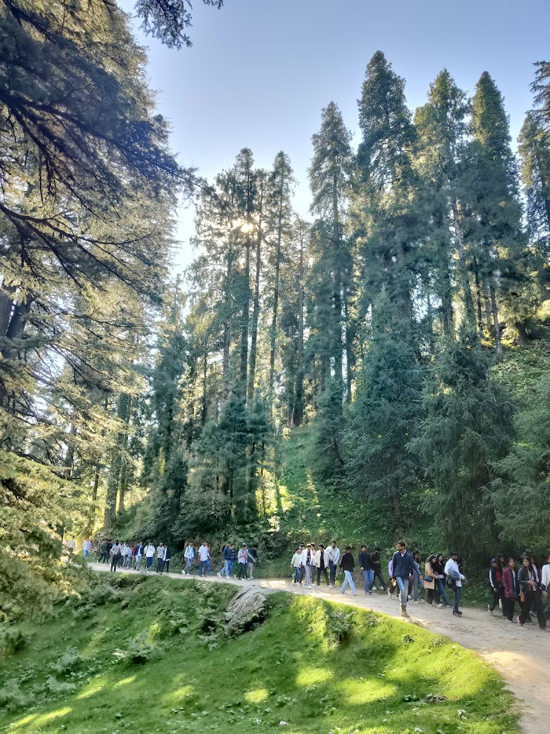 Dalhousie kalatop camping - Dalhousie kalatop camping H229+8FF, Kalatope R.F, Kalatop, Himachal Pradesh 176304, India
