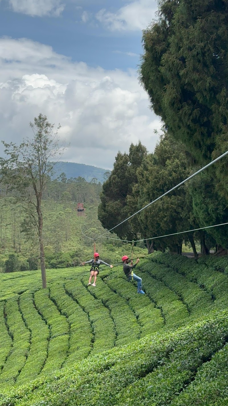 ADVENTRON DUAL ZIPLINE - KERALA'S LONGEST DUAL ZIPLINE - ADVENTRON DUAL ZIPLINE - KERALA'S LONGEST DUAL ZIPLINE HML Estate, Suryanelli, Kerala 685618, India
