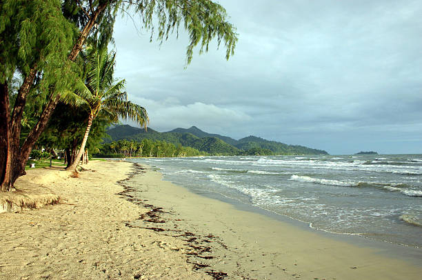 Wants Beach - Wants Beach, Audley NSW, Australia