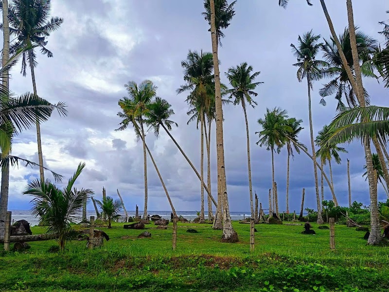Coconut Road - Coconut Road, R383+RWW, Siargao Circumferential Rd, Pilar, Surigao del Norte, Philippines