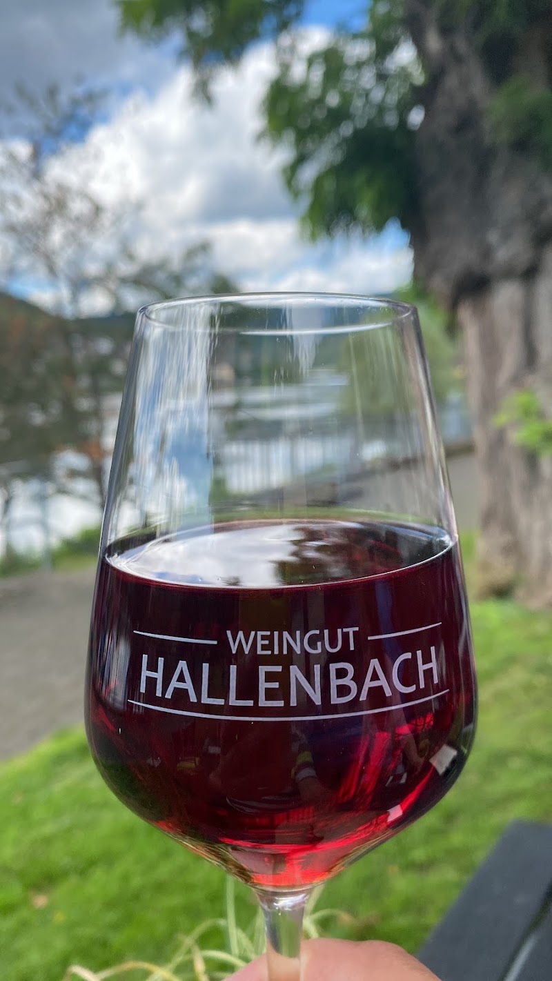 Ferienweingut Hallenbach - Ferienweingut Hallenbach, Brandenburg 20, 56856 Zell (Mosel)-Kaimt, Germany