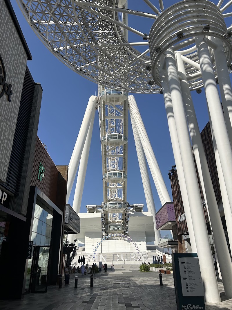 Ain Dubai - Ain Dubai Bluewaters by Dubai Retail - Marsa Dubai - Bluewaters Island - Dubai - United Arab Emirates