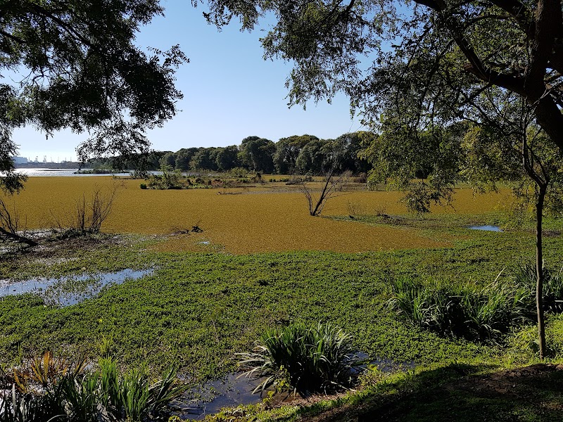 Reserva Ecológica Costanera Sur - Reserva Ecológica Costanera Sur, Av. Dr. Tristán Achával Rodríguez 1550, Cdad. Autónoma de Buenos Aires, Argentina