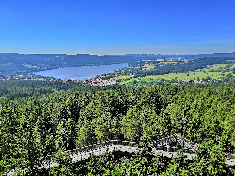 Treetop Trail Lipno - Treetop Trail Lipno, Lipno nad Vltavou 307, 382 78 Lipno nad Vltavou, Czechia