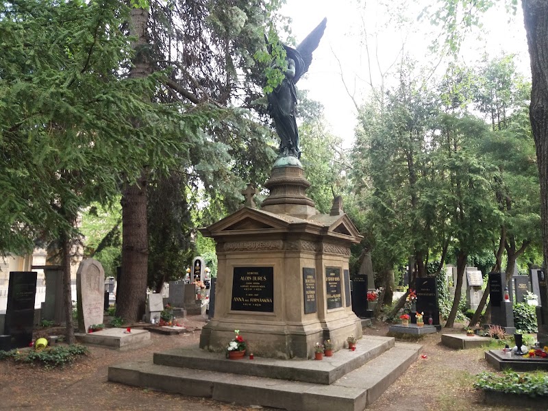 Vinohrady - Vinohrady Vinohrady, Prague 2, Czechia