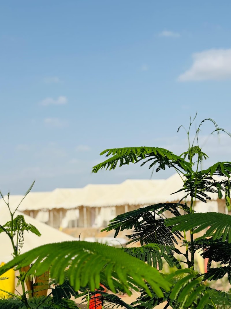 THE VELVET DUNES - BEST LUXURY DESERT CAMP IN SAM SAND DUNES JAISALMER - THE VELVET DUNES - BEST LUXURY DESERT CAMP IN SAM SAND DUNES JAISALMER, opposite LIC Building, Dhibba Para, Amar Sagar Pol, Jaisalmer, Rajasthan 345001, India