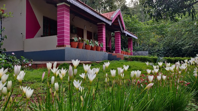 Hillcrest home stay