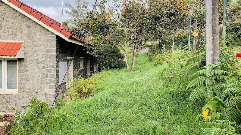 De Glen Rose - De Glen Rose RHYTHMS, Fairy Falls Rd, Kodaikanal, Tamil Nadu 624103, India