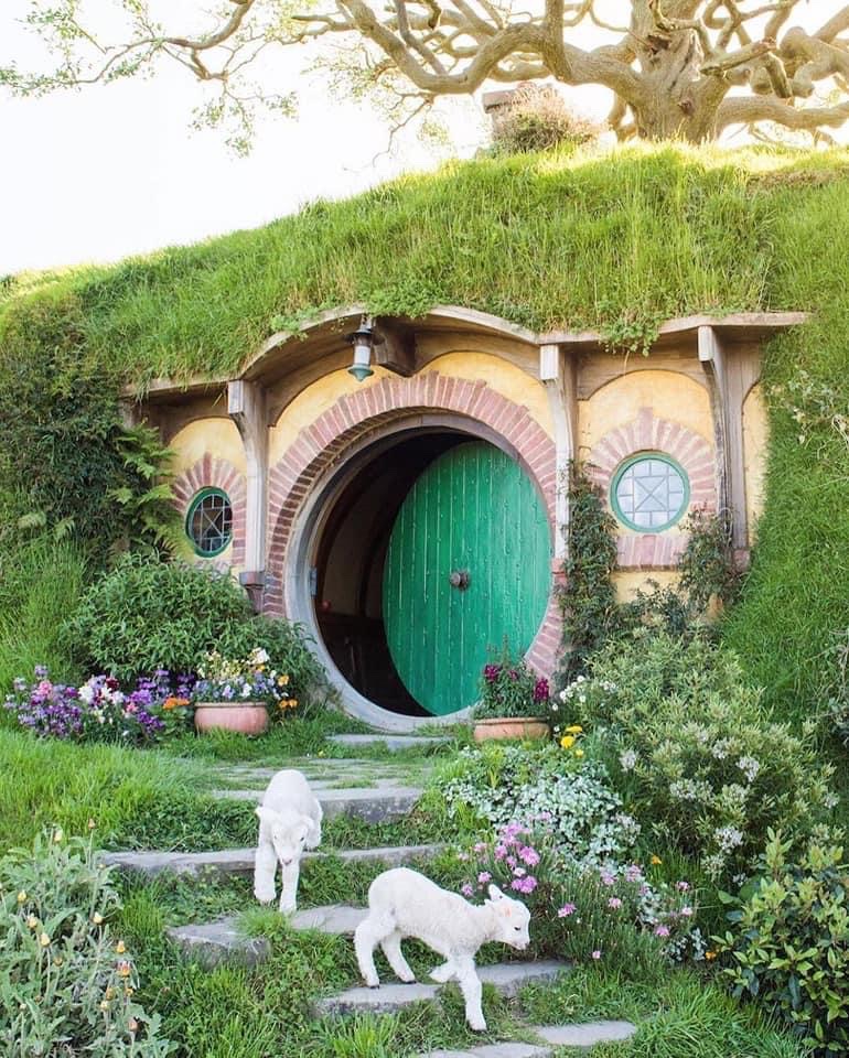 Matamata - Matamata Matamata, New Zealand