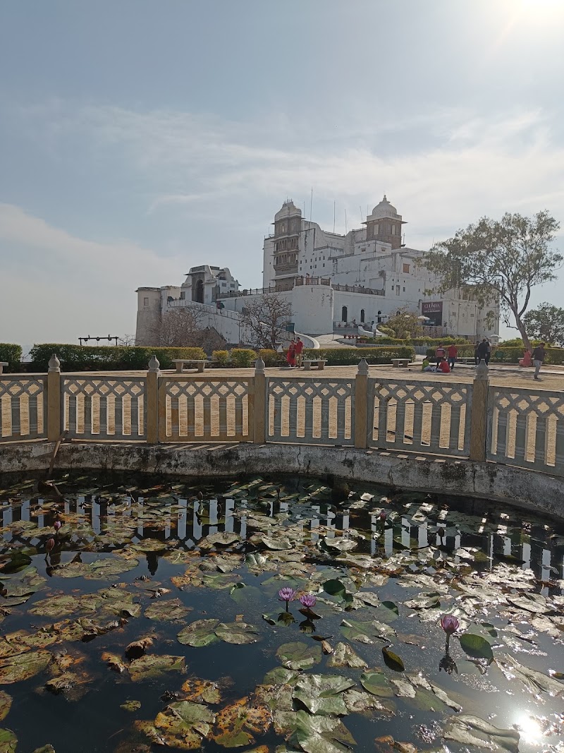 Lotus pond - Lotus pond HJVR+G3C, Kodiyat, Rajasthan 313031, India